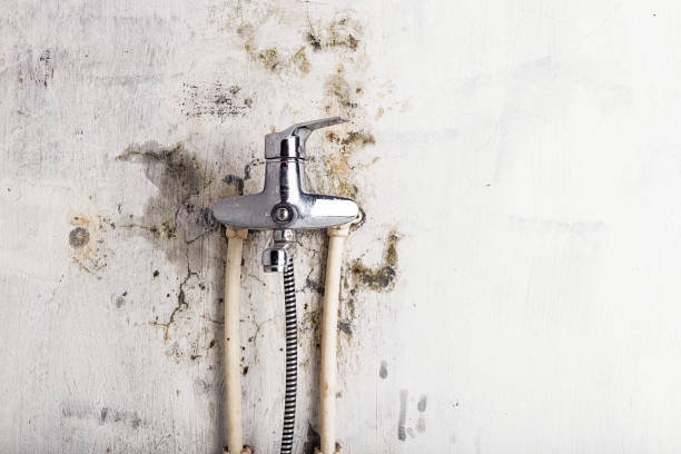 Best Mold Remediation for Schools in Lander, WY