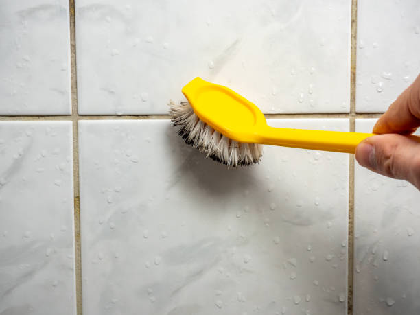 Trusted Lander, WY Mold Remediation Experts
