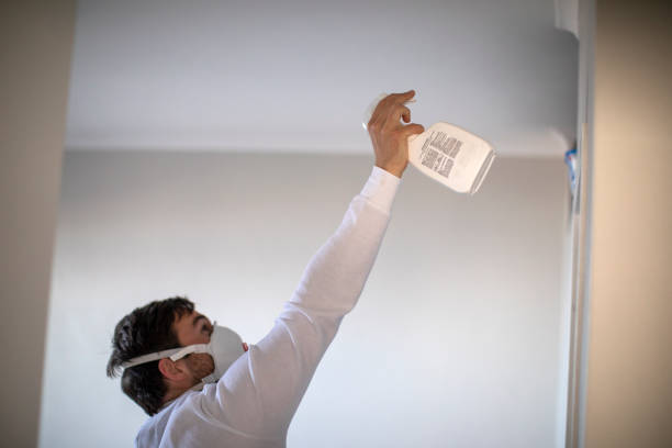 Best Commercial Mold Remediation in Lander, WY