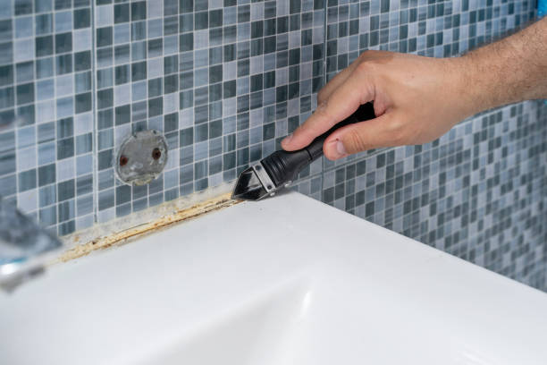 Best Preventive Mold Services in Lander, WY